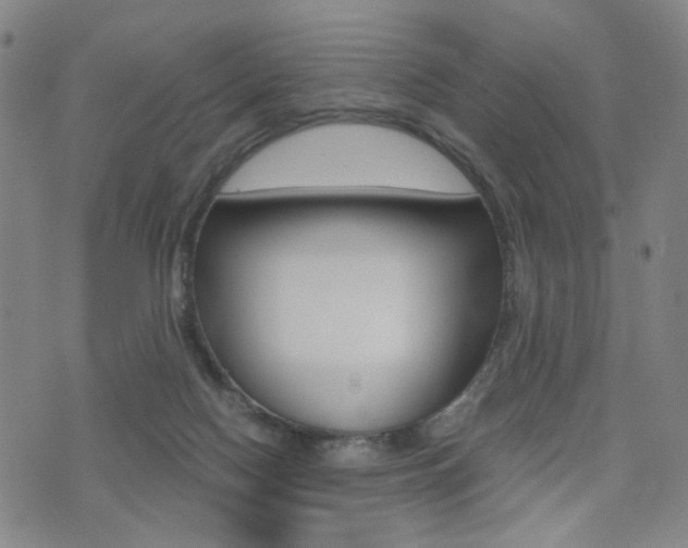 X0000076090074200609221014