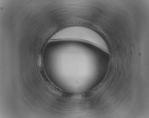 X0000076090076200609221014