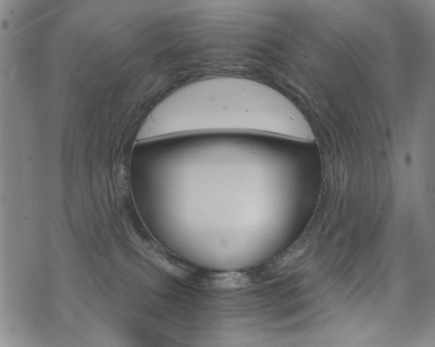 X0000076090087200609221014