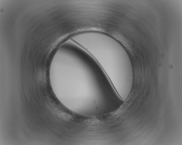 X0000076090112200609221013