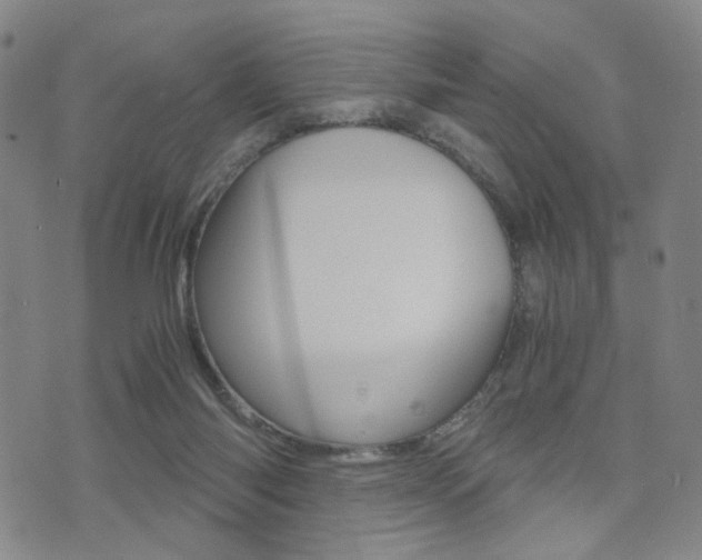 X0000076090118200609221013
