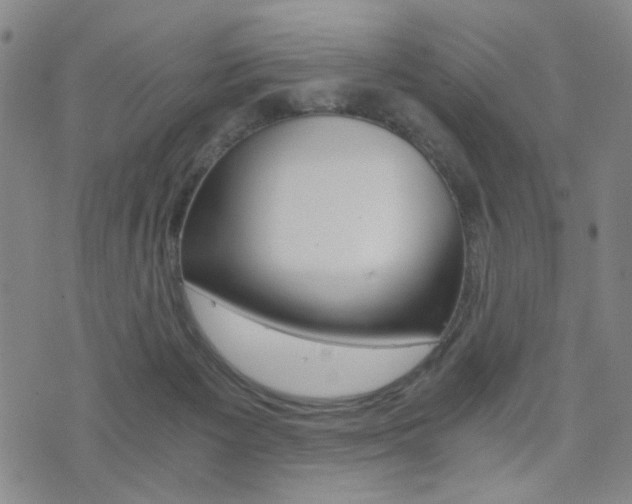 X0000076090125200609221013