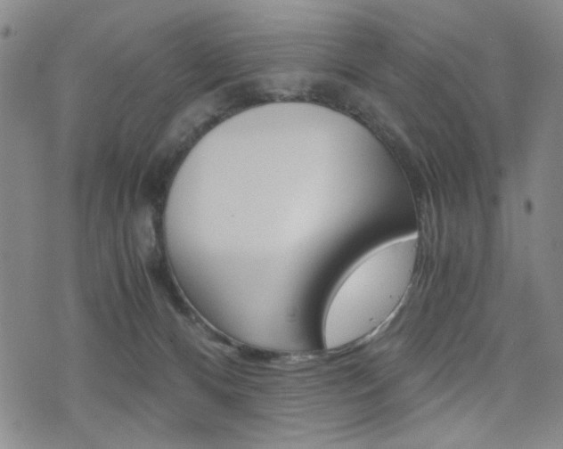 X0000076090128200609221013