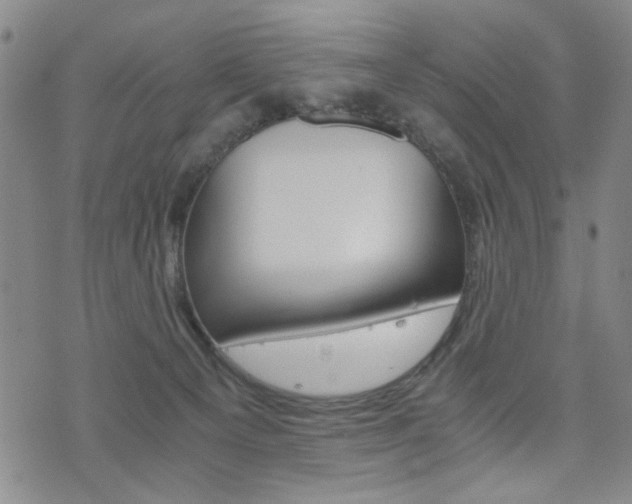 X0000076090129200609221013