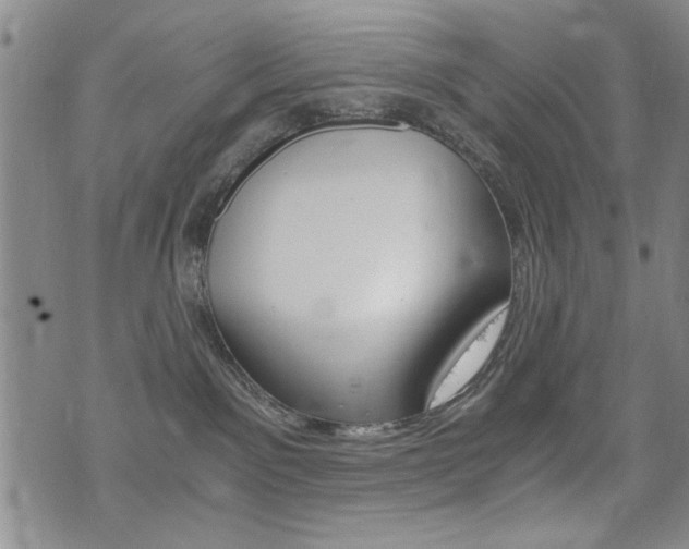 X0000076090141200609221013