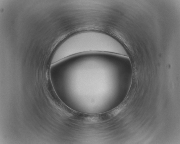 X0000076090164200609221012