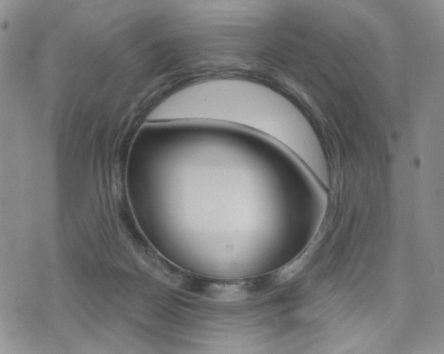 X0000076090170200609221012