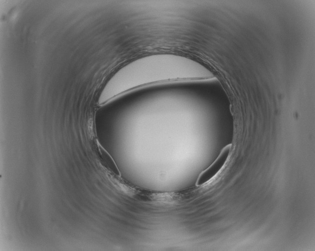 X0000076090192200609221013