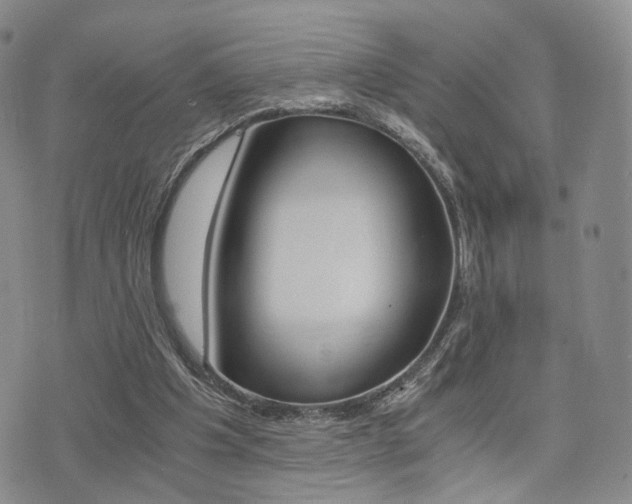 X0000076090201200609221012