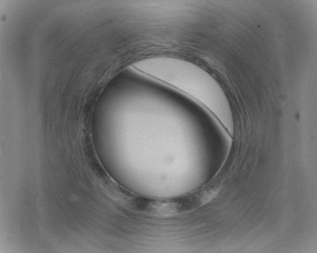 X0000076090221200609221011