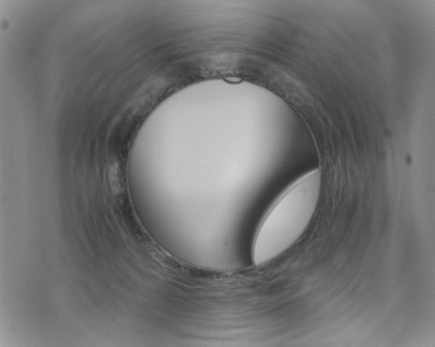 X0000076090224200609221011