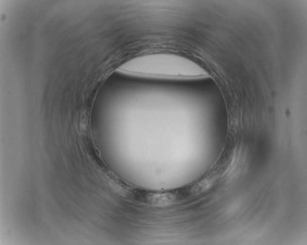 X0000076090277200609221011