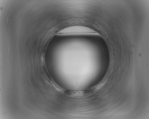 X0000076090288200609221011