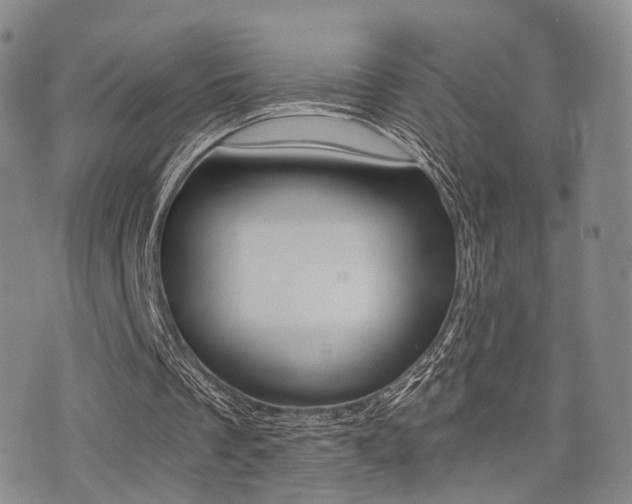 X0000076090289200609221010