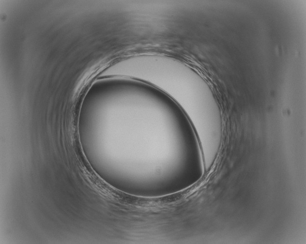 X0000076090293200609221010