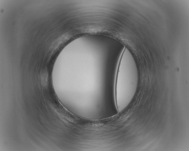 X0000076090304200609221010