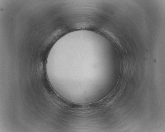 X0000076090308200609221010