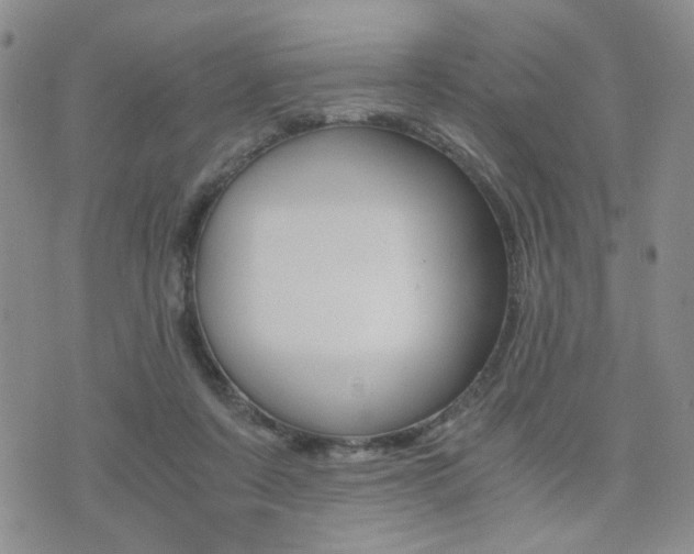 X0000076090311200609221010