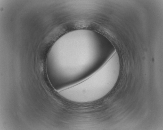 X0000076090315200609221010