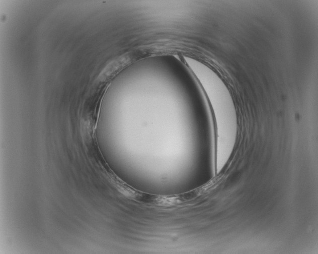 X0000076090333200609221009