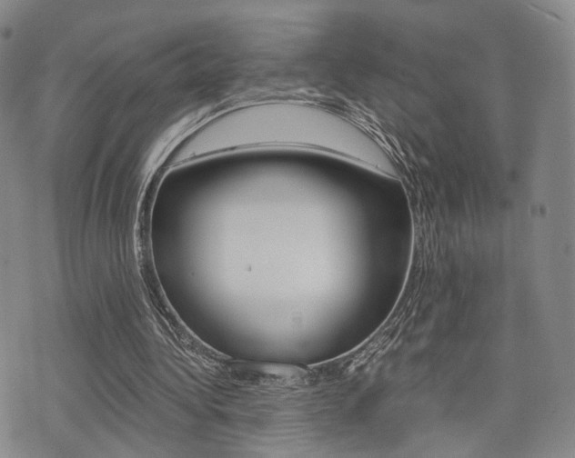 X0000076090340200609221009