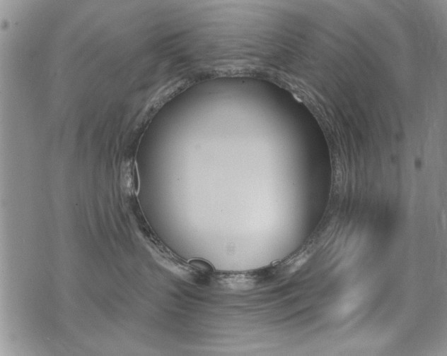 X0000076090383200609221009