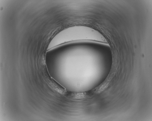 X0000076090384200609221009