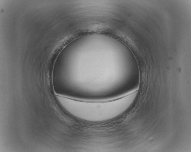 X0000076090403200609221008