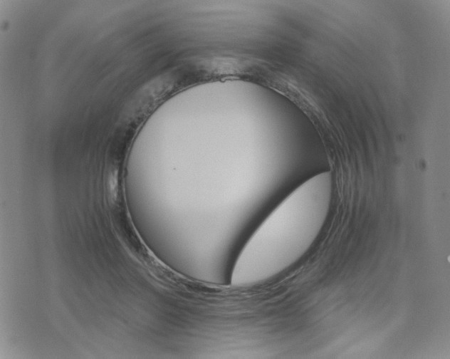 X0000076090406200609221008