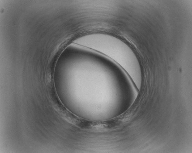 X0000076090407200609221008