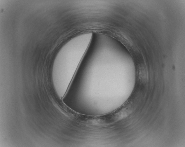 X0000076090408200609221008
