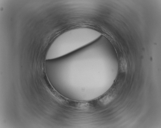 X0000076090410200609221008