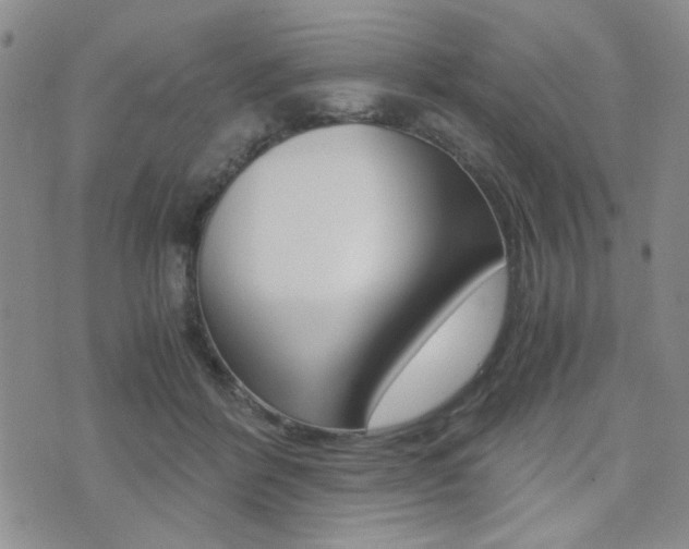 X0000076090412200609221008