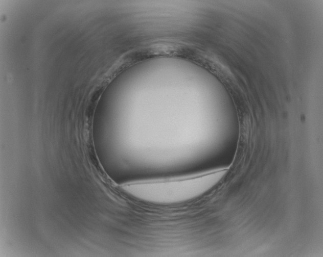 X0000076090413200609221008