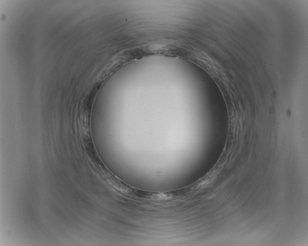 X0000076090421200609221008