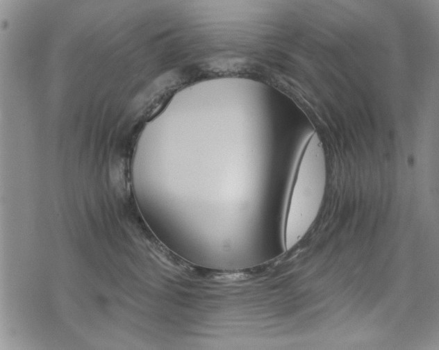 X0000076090428200609221008