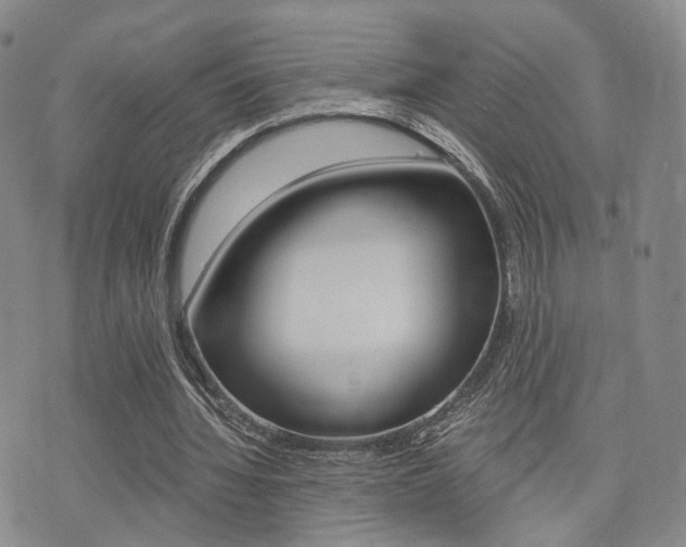 X0000076090436200609221007