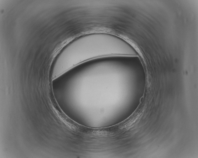 X0000076090437200609221007