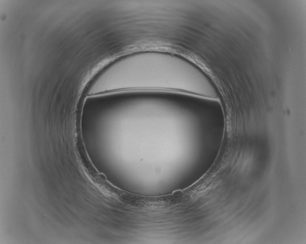 X0000076090438200609221007
