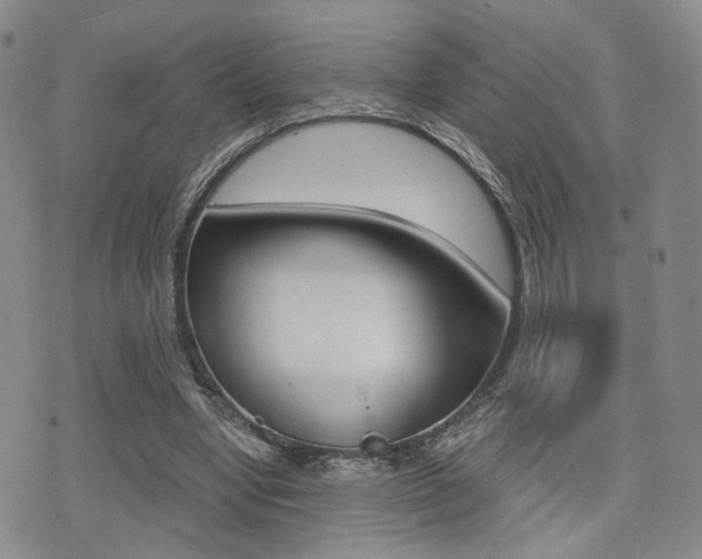 X0000076090442200609221007