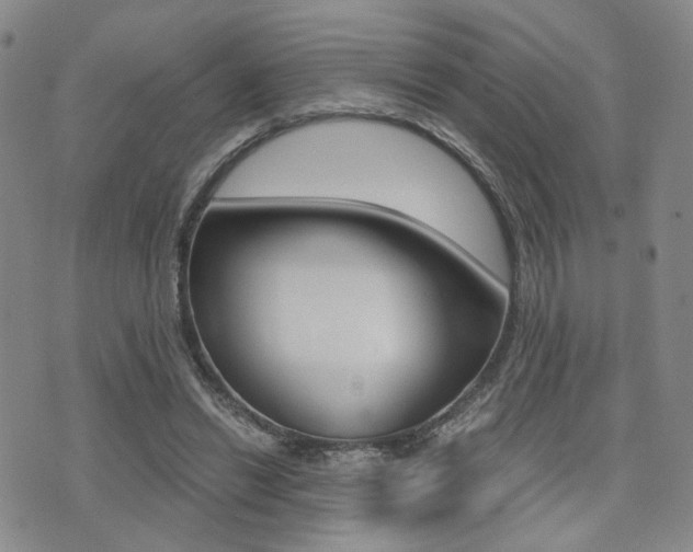 X0000076090446200609221007