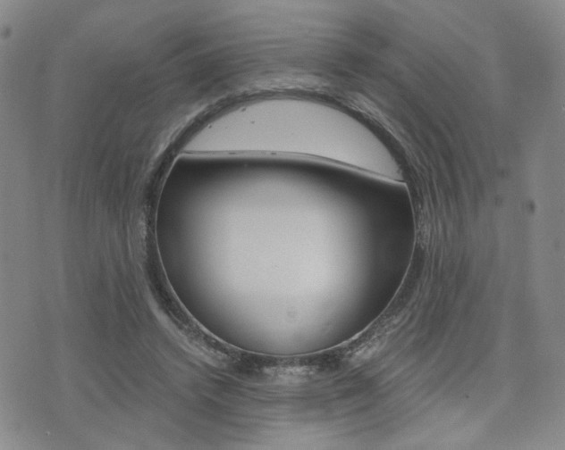 X0000076090448200609221007