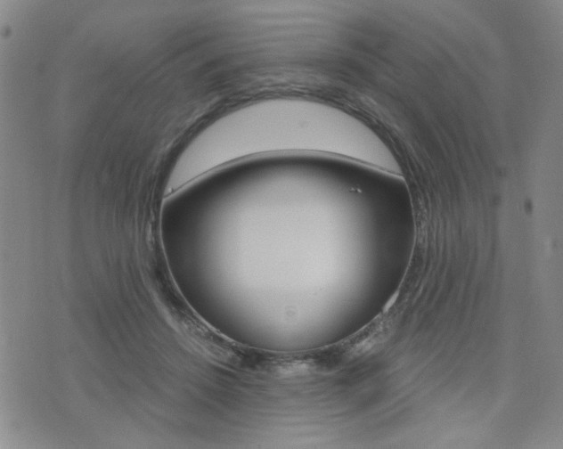 X0000076090456200609221007