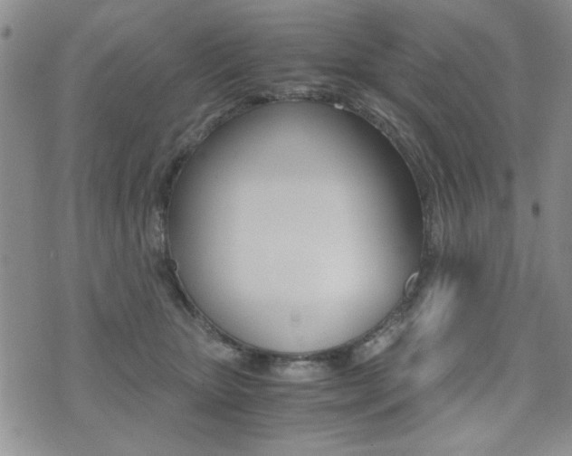 X0000076090467200609221008