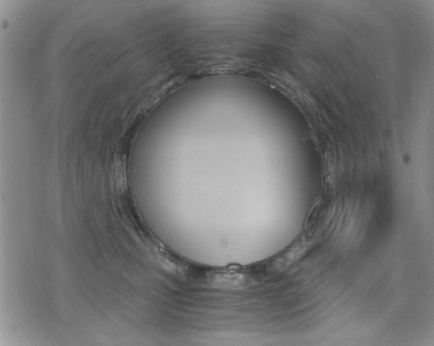 X0000076090471200609221008