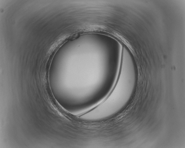 X0000076090485200609221007