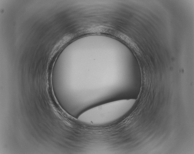 X0000076090486200609221007