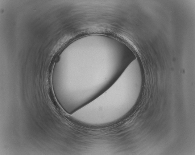X0000076090487200609221007