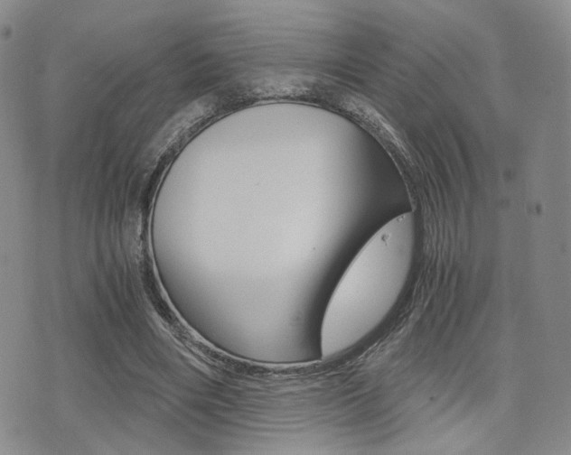 X0000076090490200609221007
