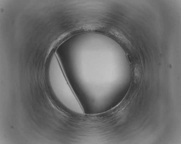 X0000076090492200609221007